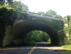 Forest-Taurus:  Greenwich, Ct