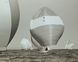 Old school - A Scow with symmetric spinnaker.