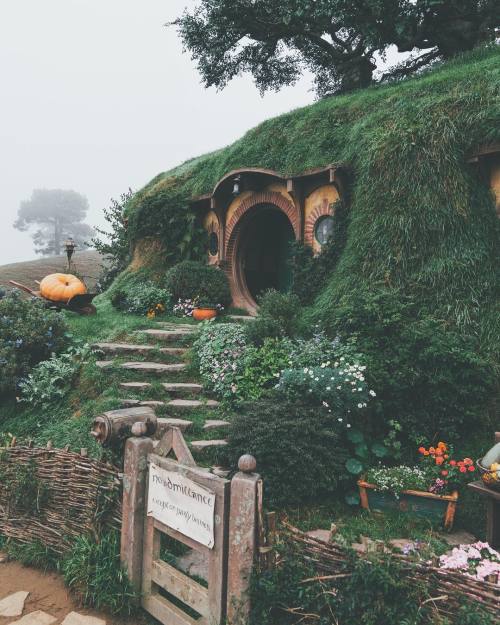 vintagepales2:A quiet morning in Hobbiton,The Shire  