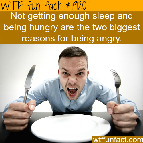 wtf-fun-factss:  sleepy and hungry - WTF fun facts