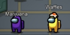 A player named their space bean Marijuana while my space bean is called Waffle.we are standing next to each other on the ship hanger. So basically it's says Marijuana Waffles on screen. 