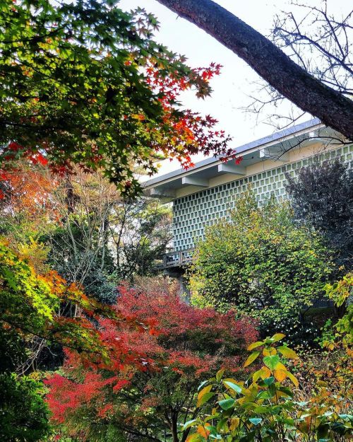 大和文華館“文華苑” [ 奈良県奈良市 ] Yamato Bunkakan Museum&rsquo;s Garden, Nara の写真・記事を更新しました。 ーーモ