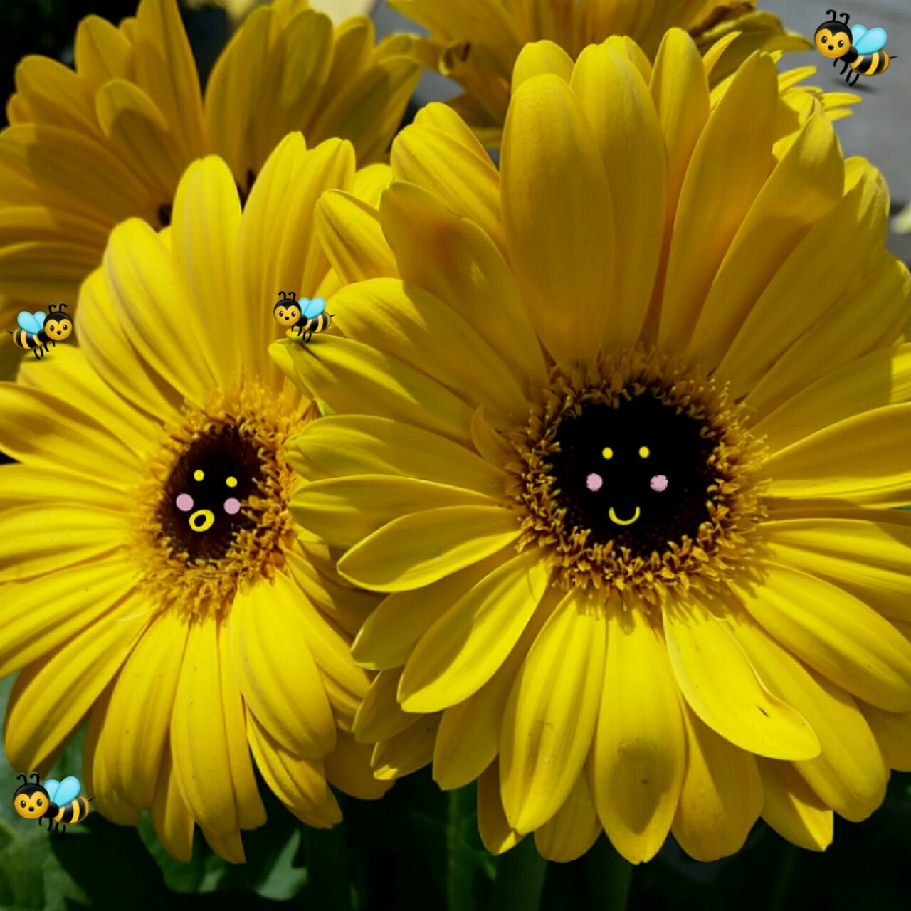 artsily:  I now understand why van gogh was so in love with the color yellow. 🌻