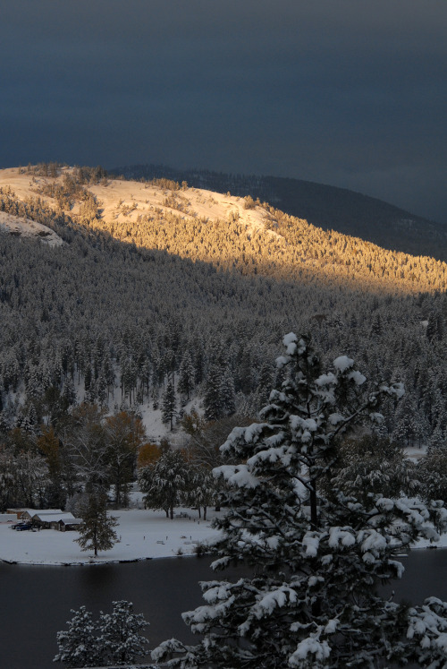 Morning after first snowfall. Curlew Lake, WA.