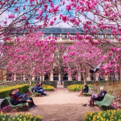 audreylovesparis:  Jardin du Palais Royal,