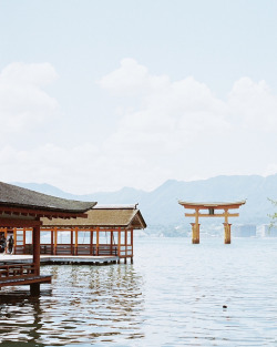 dreams-of-japan:  MIYAJIMA by hisaya katagami on Flickr.