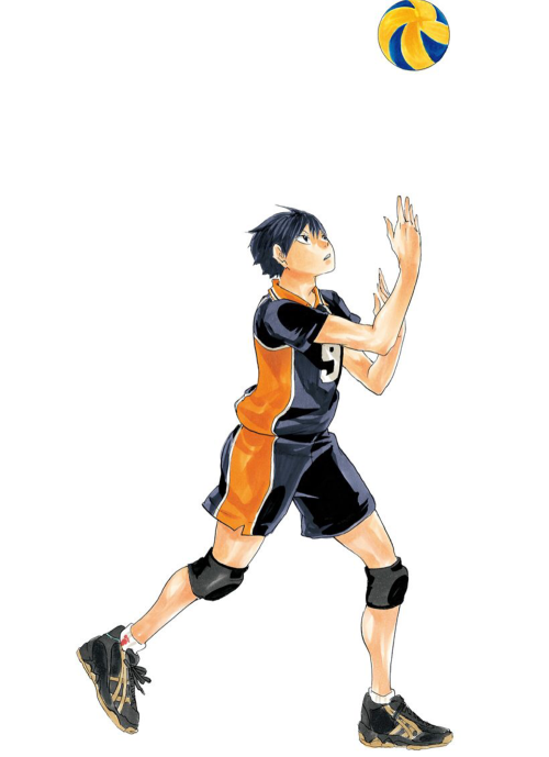 pigeonboyfriend:  Haikyuu!! → Extras 