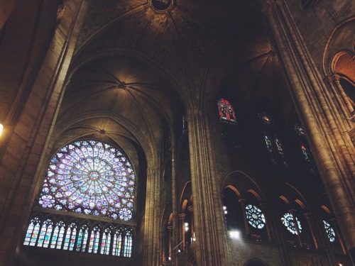 the-village-green:tylerjadeparis:Notre Dame CathedralAh, yes, the “dark” ages.  So primitive and bar