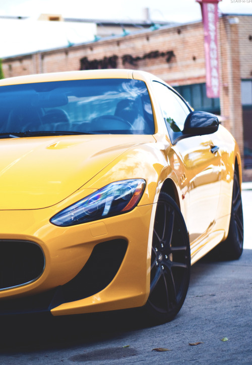 stayfr-sh:  Street Fighter | SF 