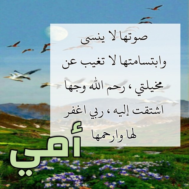 بصوره Tumblr Posts Tumbral Com