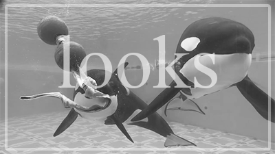 ketotheorca:  “Let them retire!”[x] [y] [z] 