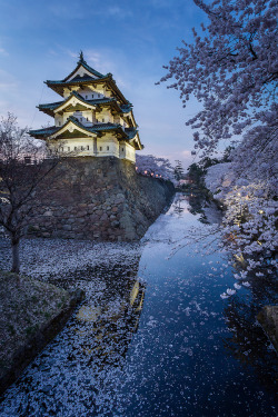 lighttravelers:  Hirosaki Castle in the evening by João Maia See it at http://j.mp/1tjULM7 At dusk, as night approaches, the castle is lit, along with some of the cherry trees in the banks of the moat 