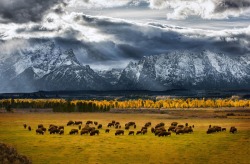 nubbsgalore:  wyoming’s grand teton mountains, photographed by glen hush 