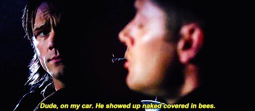 "Dude, On My Car, He Showed Up Naked...covered In Bees.