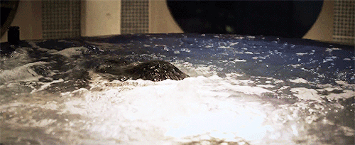 luthcorp:actual bts footage of the supercorp bathtub scene in s3