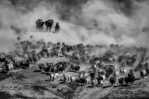 春季转场《Spring transfer》 by vcg-Nini777