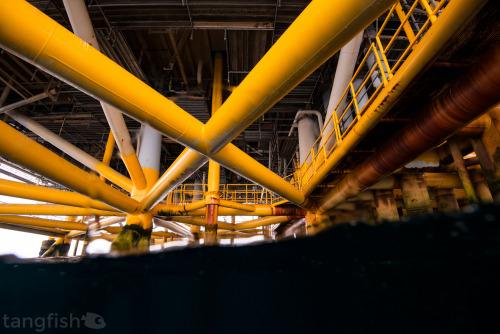 Above &amp; below an oil rig in Southern California - photo taken offshore San Pedro, CA