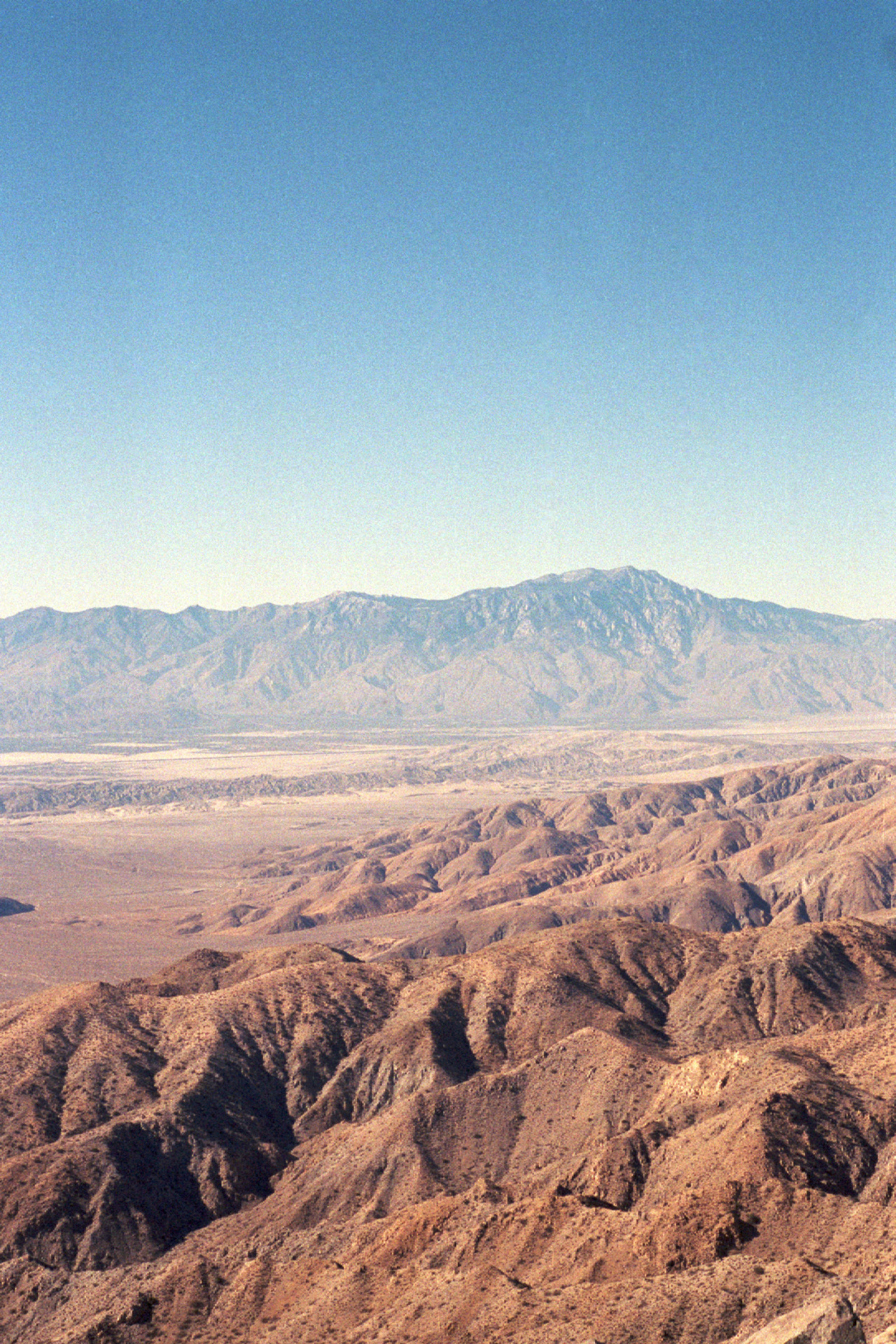 briangilbreath:  Joshua Tree Views - 2015 - by @briangilbreath#filmphotography #landscape