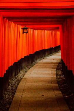 Gezzaseyes:  Fushimi Inari, Kyoto 