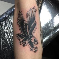 Flash piece. @broadstreettattoo Thanks for looking!
#tattoo #eagle #eagletattoo #traditionaltattoo #boldwillhold #henryonly