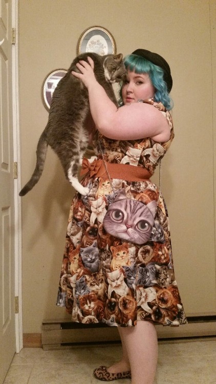 themanicpixiedreamgrrrl:Happy national hug your cat day. Please hug your cats for me.Where did you g