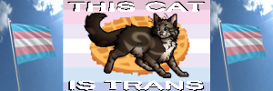 A Classic Case Of Warriors Editing Mistakes And Misgendering Their Own Cat, Or He/her Wafflepaw? You