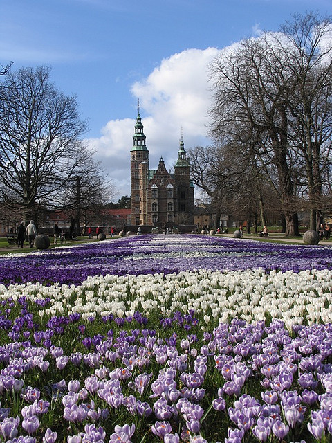 The flower path to Rosenborg Castle in Copenhagen, Denmark (by khoogheem).