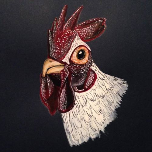 zachfmason: rooster