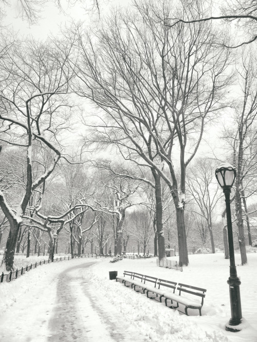 nythroughthelens: New York City - Winter - Central Park’s Most Beautiful Views —- One of