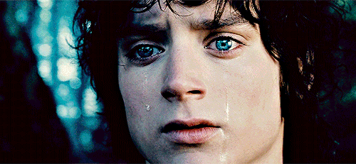Endless Lord Of The Rings Gifs [11/???]