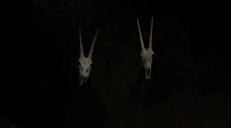charliemusa:  coven time