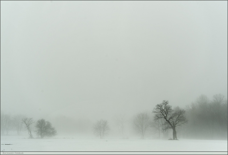 vjeranski: Richard Ferrar  Michigan Dream, 2010   Orange County Route 1, 2015 