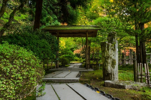 travelingcolors: Japanese Garden, Seattle | Washington (by Saji Viswam)