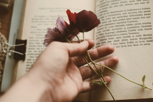 oonajuliar:My favourite flowers and book to read. Perfect moment.