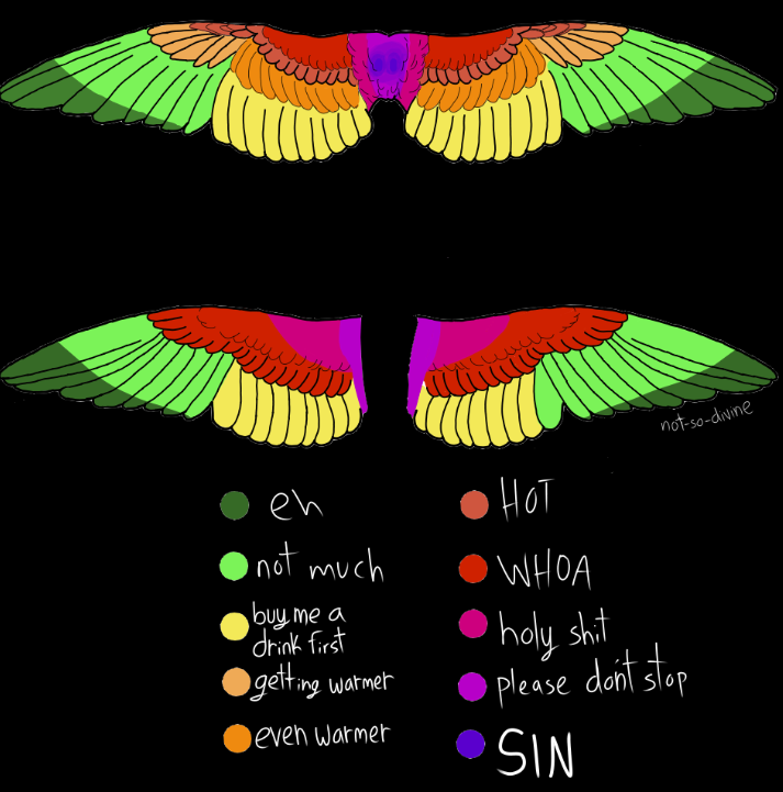 not-so-divine: (Sort of nsfw?)  I drew up a little diagram of how I view wing sensitivity