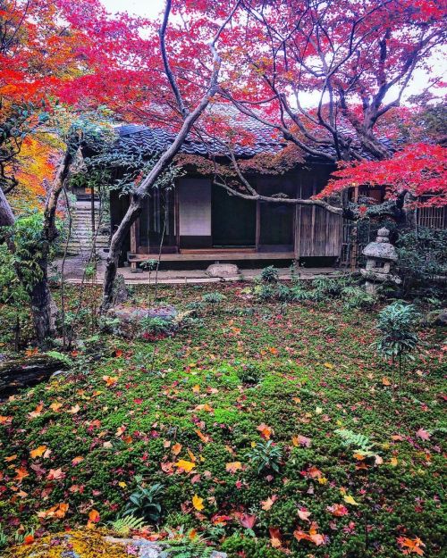 厭離庵庭園 [ 京都市右京区 ] Enrian Temple Garden, Kyoto の写真・記事を更新しました。 ーー紅葉期のみ特別公開新古今和歌集・小倉百人一首を編纂した歌人 #藤原定家 の小