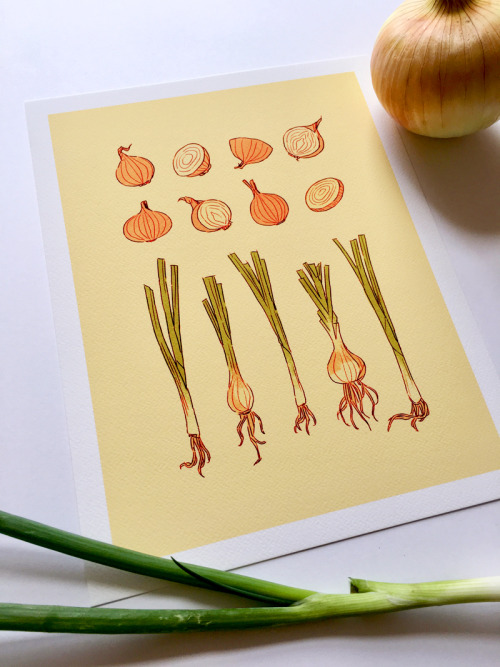 jennlso: Onion print!