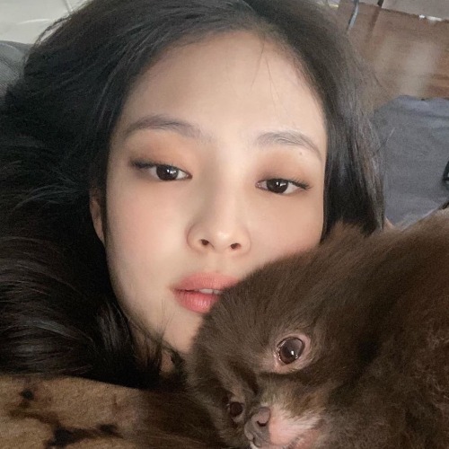 . Jennie Icons