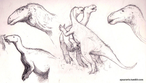 Just some iguanodontsup: fighting Iguanodonsdown: upper left corner - Lanzhousaurs, lower left corne