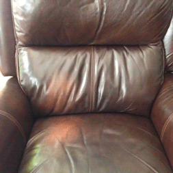 toocooltobehipster:  vine by Belle &amp; Nate Villegas  &ldquo;SAFE!&rdquo;
