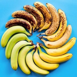 healthy-crazy-vegan-cupcake:  runningonoatmeal:  this is impressive  The Circle Of Banana 