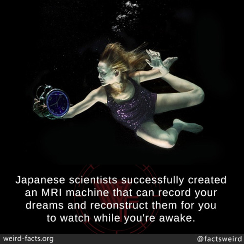 mindblowingfactz:  Japanese scientists successfully created an MRI machine that can record your dreams and reconstruct them for you to watch while you’re awake.