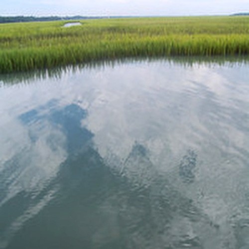 Huntington #Beach State #Park #pawleysisland #murrellsinlet southcarolina #DiscoverSC #marsh #blue #