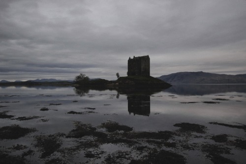 skylerbrownart: Castle Stalker (Scotland) - perhaps better known as the filming location f