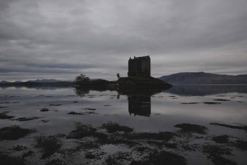 skylerbrownart: Scotland Fog photos by Skyler Brown Tumblr | Facebook | Instagram | Flickr