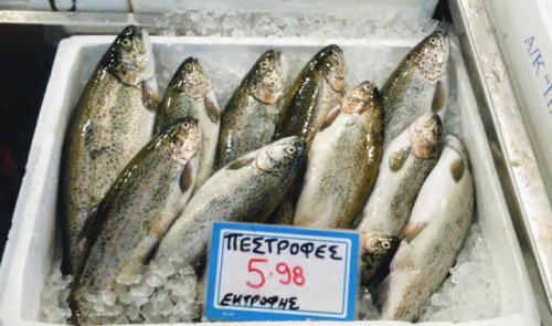 [30.07.2019 - Athens, Greece]Fish stands in the Δημοτική Αγορά, Athens’ public market.