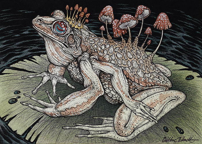 caitlinhackettart:  “Poisoned Waters”, originally a 5″ by 7″ drawing in ballpoint