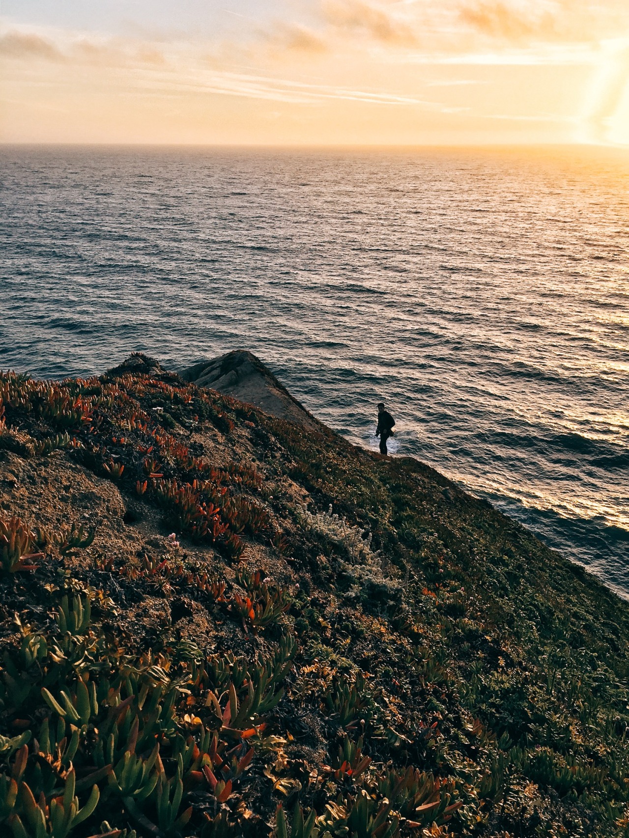 danielodowd:  http://blainenadeau.vsco.co/