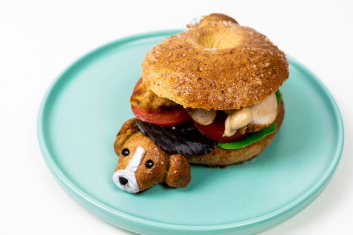 DIY Beagle BagleSoft, delicious and easy to make homemade bagels with New York-style seasoning. Shap