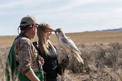 crazycritterlife: I was told to sniff his birds neck, so I did, and this is how she responded lol